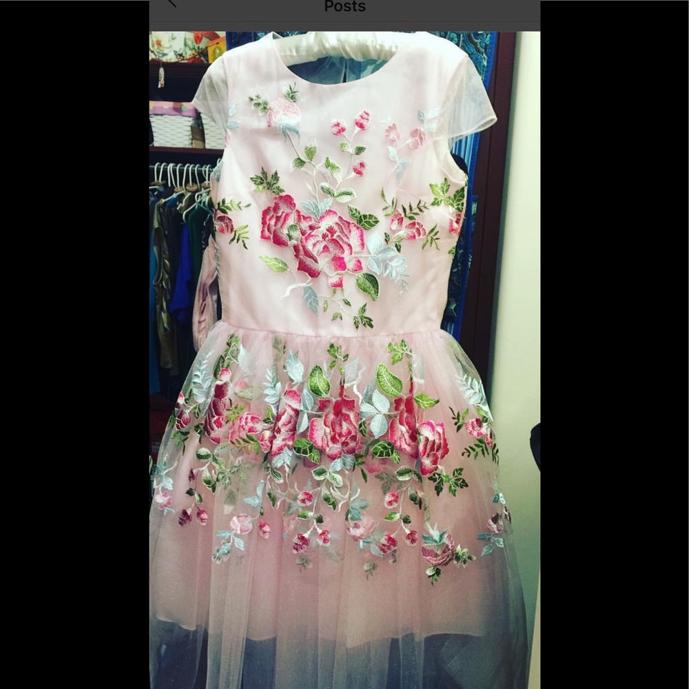 Gorgeous Charles David  girls dress .